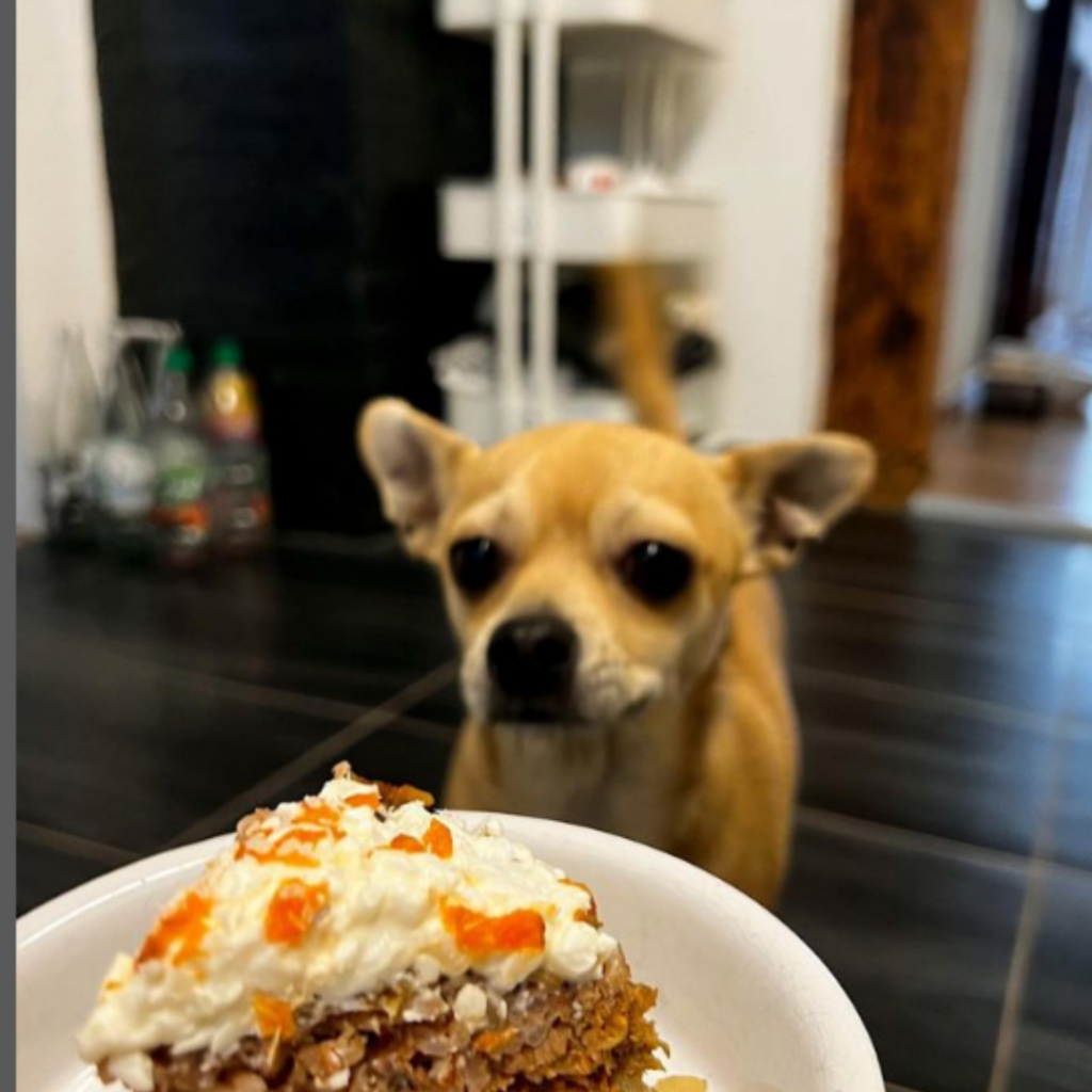 Backen für Hunde für besondere Anlässe, Hundekekse selber backen