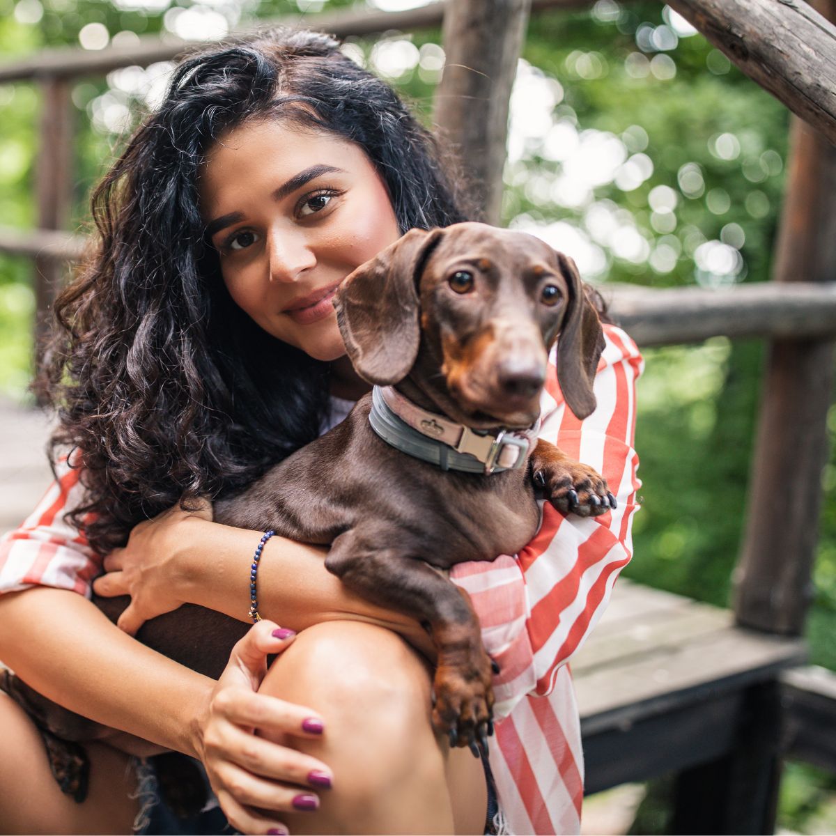 Gesunde Hunde durch die richtige Fütterung