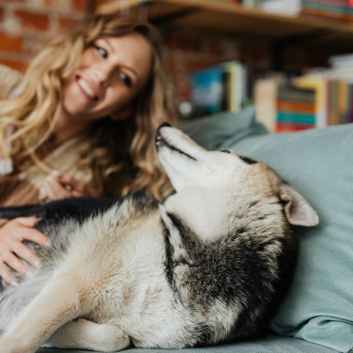 Ernährungsberatung für Hunde mit Allergien und Unverträglichkeiten
