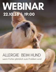 Hat mein Hunde eine Allergie?